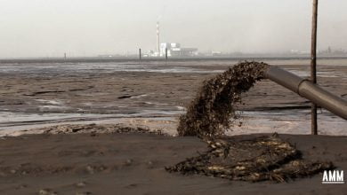 Environmental Rehabilitation