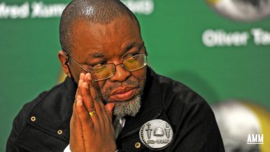 Gwede Mantashe