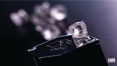 Okavango Diamond