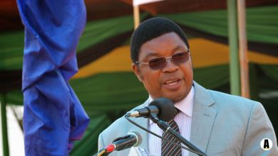 Kassim Majaliwa, Mining