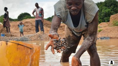 Artisanal Miners, WHO