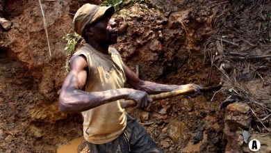 Investors, Congo