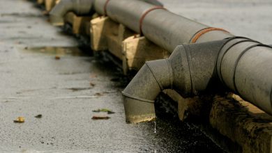 Water Pollution, Acacia