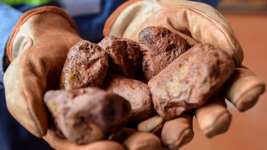 Bauxite Resources