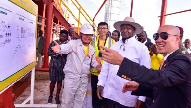 Tororo Mineral Project