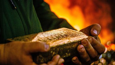 Concentrate Exports, Gold