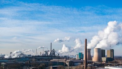 Climate Change, Carbon
