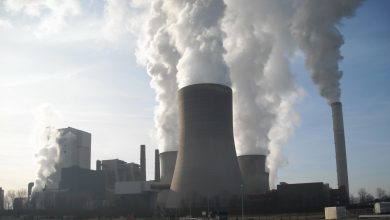 Climate Change, Carbon