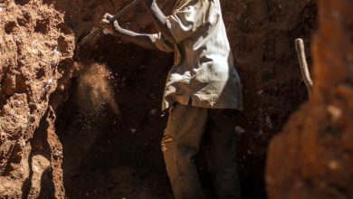 Illegal Miners