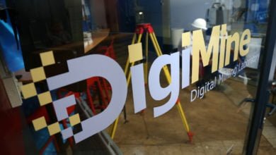 Wits, DigiMine