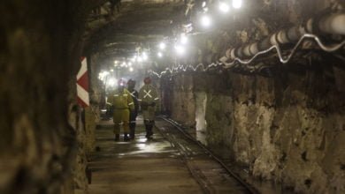 Coronavirus Effect, Marula