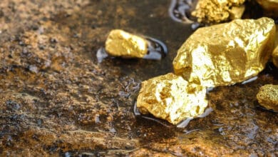 Gold Mining