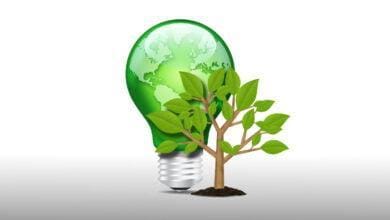 Lighting Regulations