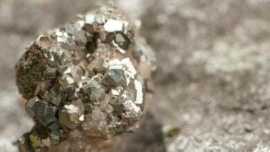 Vanadium