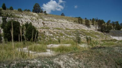 Mine Tailings