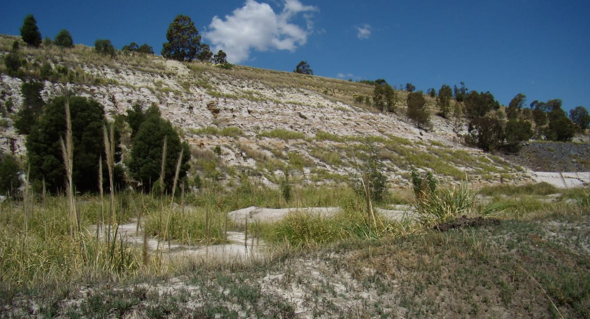 Mine Tailings