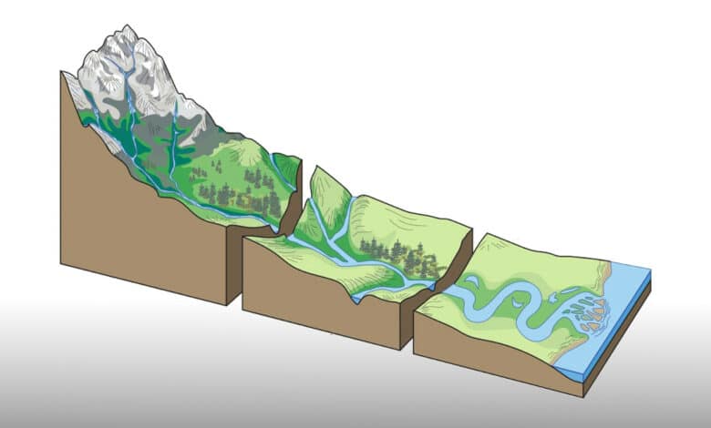 3D Modelling