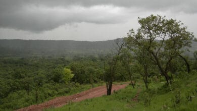 DR Congo water stewardship