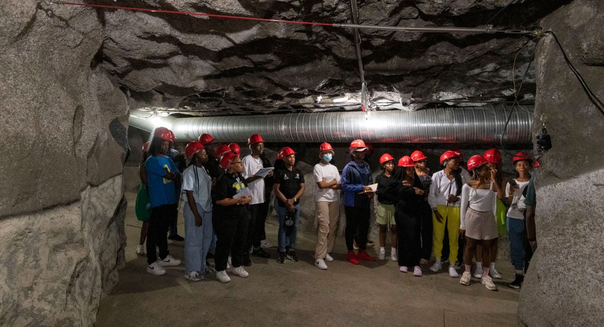 Critical Minerals, Technology and Sustainability