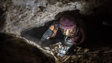 Procurement mafia mining