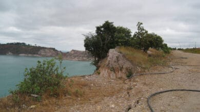 Water management