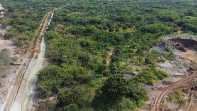 Zambia mine toxic