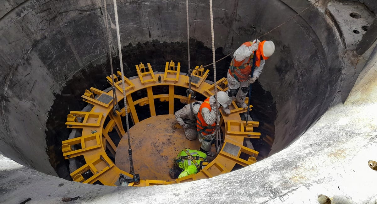 FLS field services