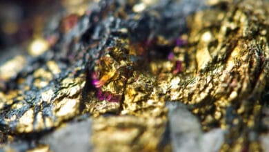 Douta gold