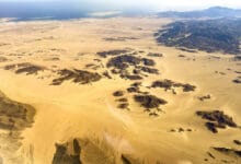 Eastern desert