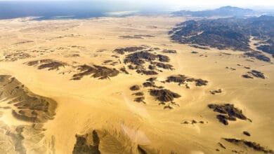Eastern desert